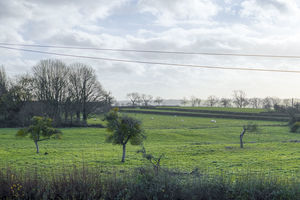 Photo 14- click for photo gallery